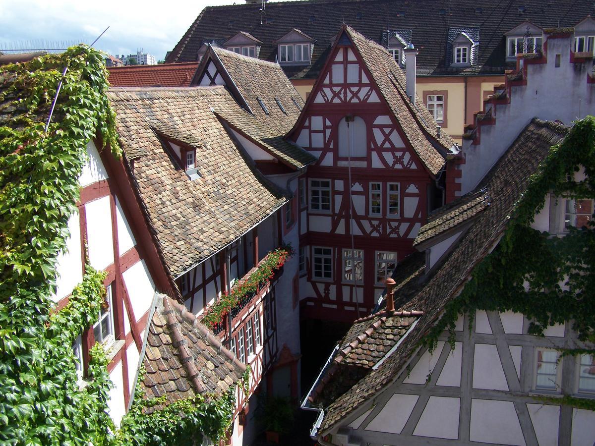 Steinhaeuser Hof Neustadt an der Weinstraße Εξωτερικό φωτογραφία