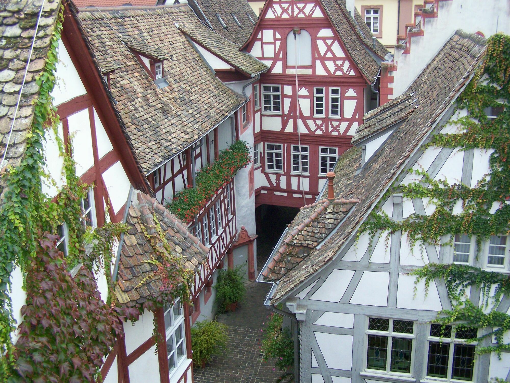 Steinhaeuser Hof Neustadt an der Weinstraße Εξωτερικό φωτογραφία